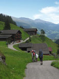 Серпантин альпийских деревушек Австрии